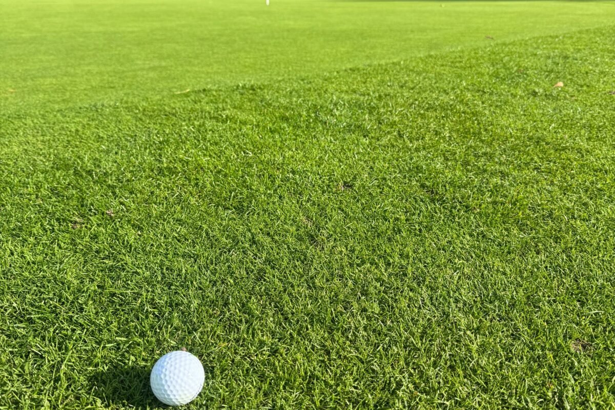A golf ball resting close to the hole on a green