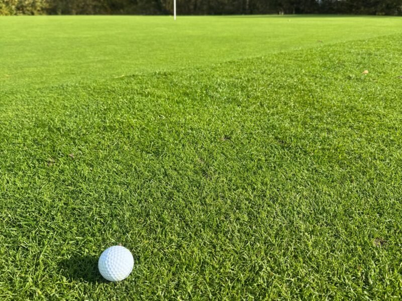 A golf ball resting close to the hole on a green