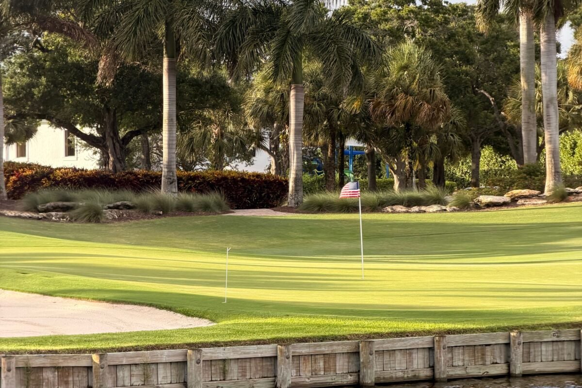 A palm lined fairway at a resort course