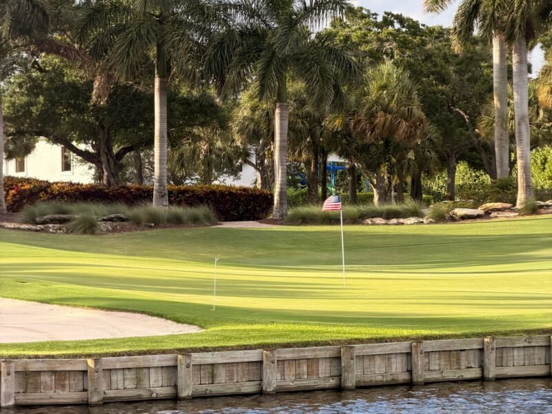 A palm lined fairway at a resort course